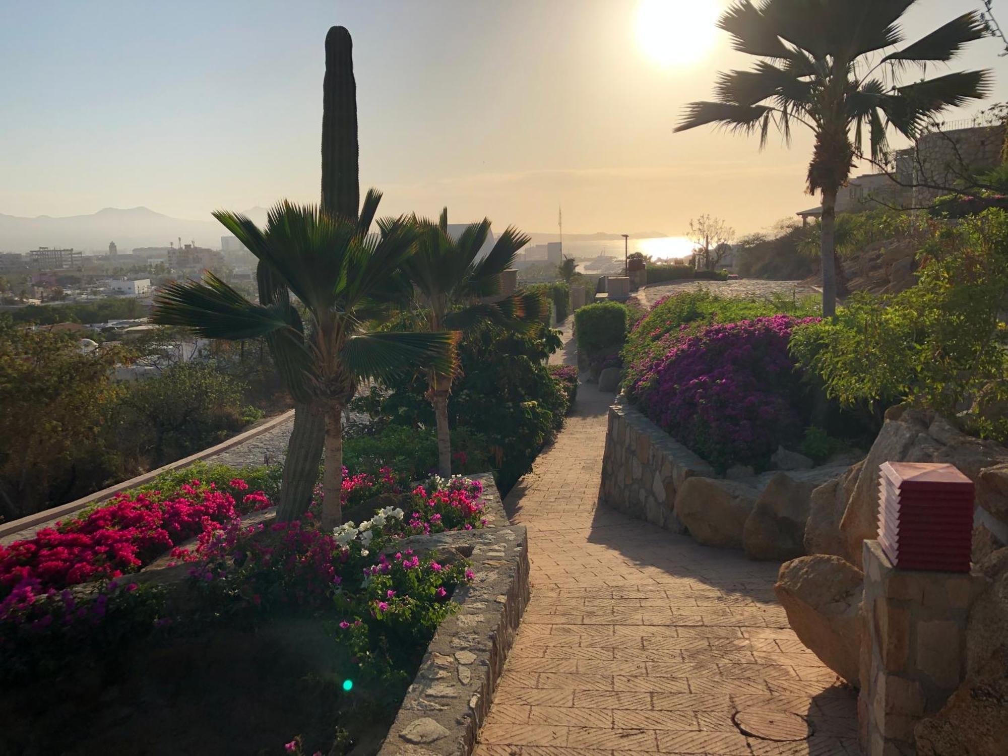 Casa Robyn Lejlighed Cabo San Lucas Eksteriør billede
